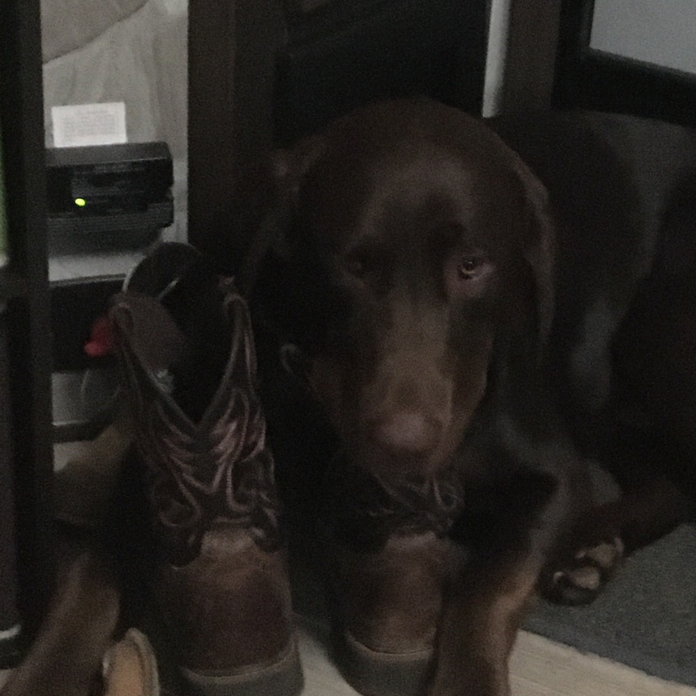 Meet your Posher, Robert